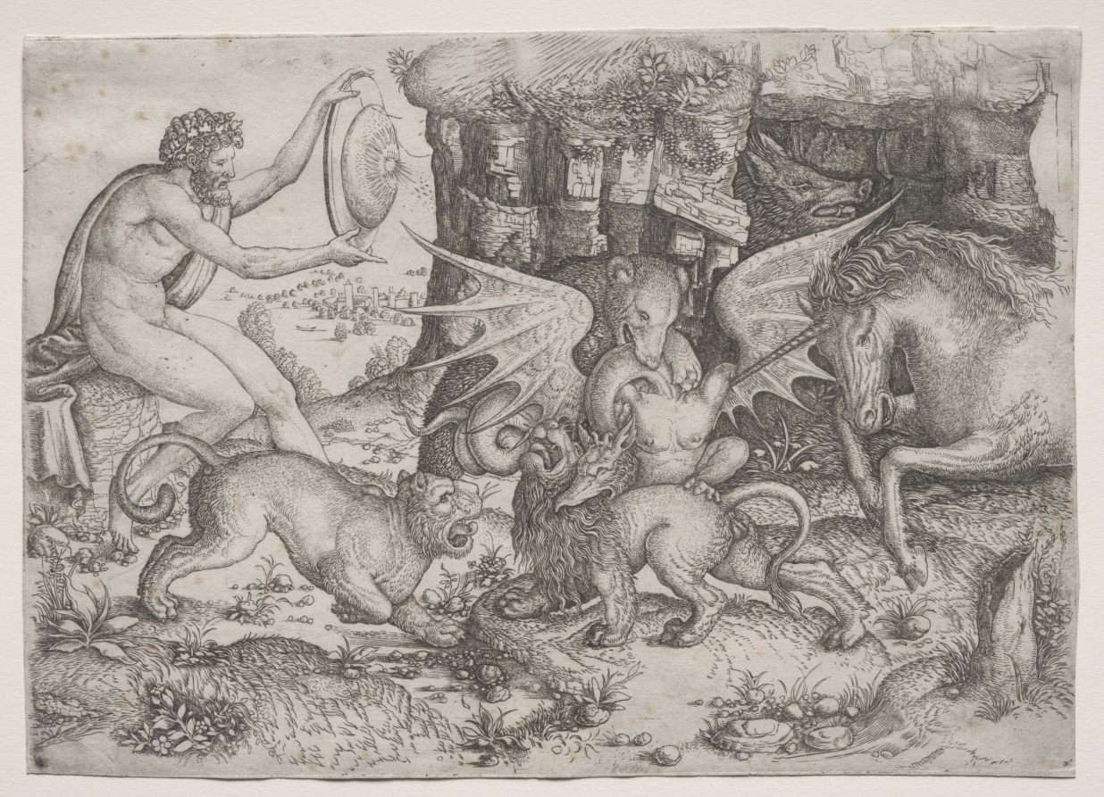 Allegorical Theme:  Combat of Animals