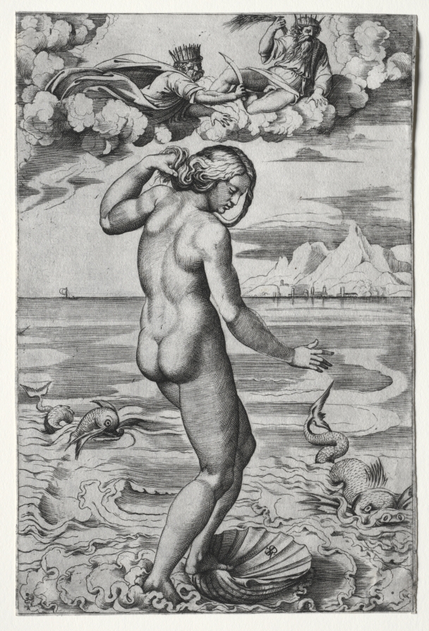The Birth of Venus 