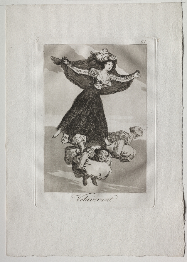 They Have Flown, Plate 61