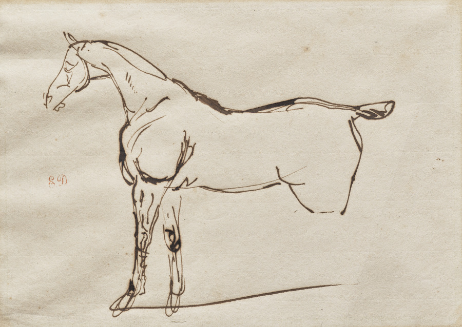 Study of a Horse