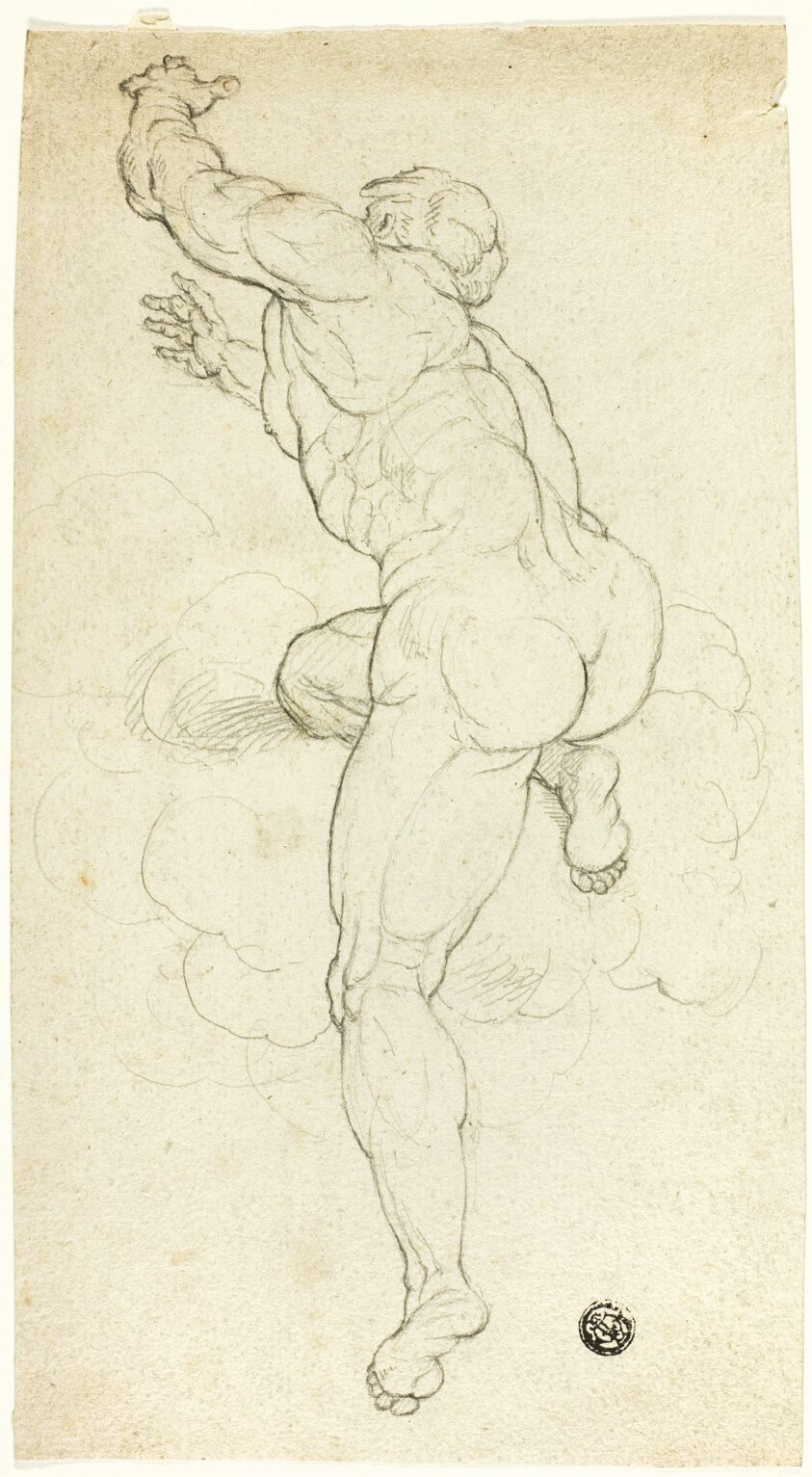 Ascending Male Nude