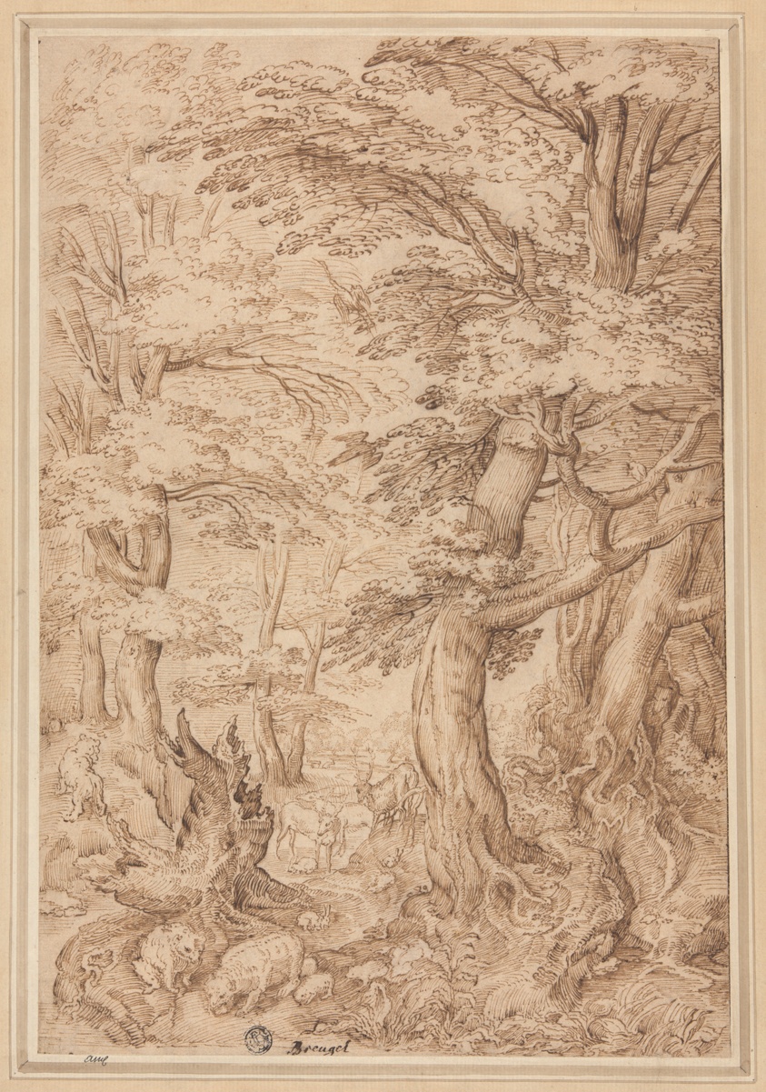 Forest Landscape with Wild Animals