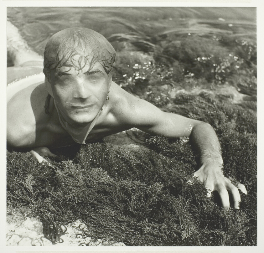 Seaweed Portrait