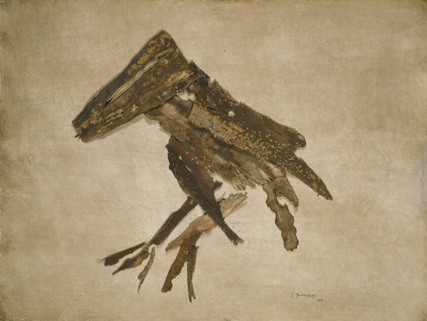 Bird's Flight